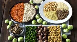 A variety of raw / uncooked sources of plant-based protein displayed neatly.